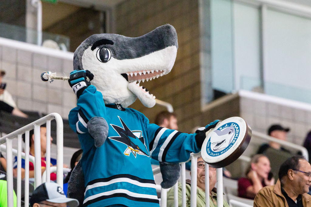 nhl-seasonoptometry-eyes-eyewear-eyeglasses-glasses-lenses-blue-light-filter-exposure-eye-fatigue-strain-dry-eye-exams-annual-comprehensive-cee-aee-optometrist-optical-illusions-eye-care-eyecare-vision-optometrist-eye-care-eyecare-opticians-eye-doctor-near-me-cartier-lindberg-chrome-hearts-eyewear-glasses-eyeglasses-sunglasses-frames-polarized-designer-luxury