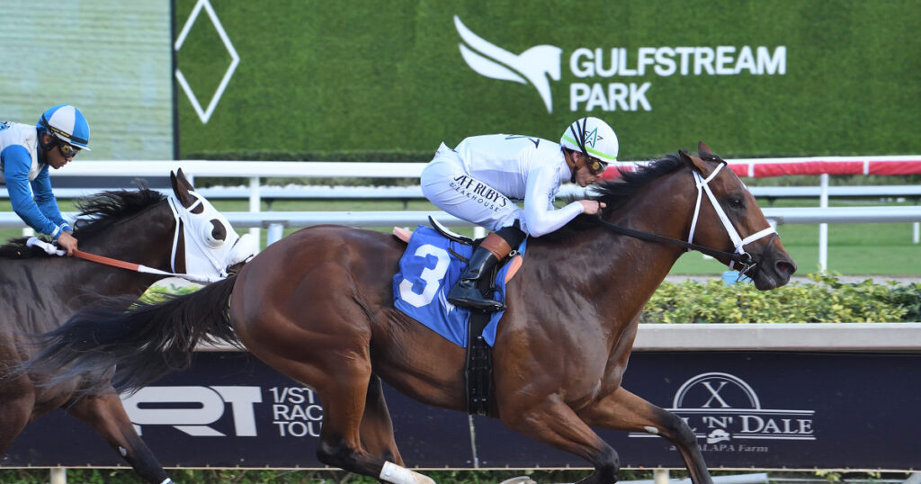 optometry-eyes-eyewear-eyeglasses-glasses-lenses-blue-light-filter-exposure-eye-fatigue-strain-dry-eye-exams-annual-comprehensive-cee-aee-optometrist-optical-illusions-eye-care-eyecare-vision-optometrist-eye-care-eyecare-opticians-eye-doctor-near-me-cartier-lindberg-chrome-hearts-eyewear-glasses-eyeglasses-sunglasses-frames-polarized-designer-luxury-florida-derby