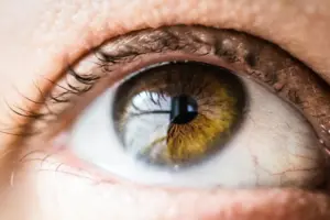 optometry-eyes-eyewear-eyeglasses-glasses-lenses-blue-light-filter-exposure-eye-fatigue-strain-dry-eye-exams-annual-comprehensive-cee-aee-optometrist-optical-illusions-eye-care-eyecare-vision-optometrist-eye-care-eyecare-opticians-eye-doctor-near-me-cartier-lindberg-chrome-hearts-eyewear-sunglasses-frames-polarized-designer-luxury-dryeye