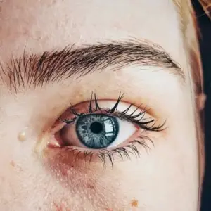 eyelids-optometry-eyes-eyewear-eyeglasses-glasses-lenses-blue-light-filter-exposure-eye-fatigue-strain-dry-eye-exams-annual-comprehensive-cee-aee-optometrist-optical-illusions-eye-care-eyecare-vision-optometrist-eye-care-eyecare-opticians-eye-doctor-near-me-cartier-lindberg-chrome-hearts-eyewear-glasses-eyeglasses-sunglasses-frames-polarized-designer-luxury-love-optase